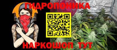 ECSTASY Славгород