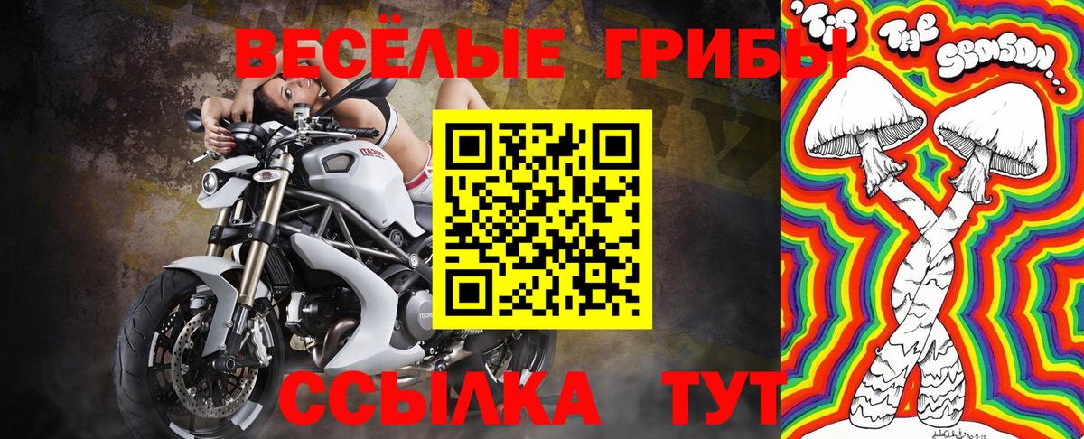 Галлюциногенные грибы мицелий  Галлюциногенные грибы мухоморы  Вход с VPN  Нефтекумск 